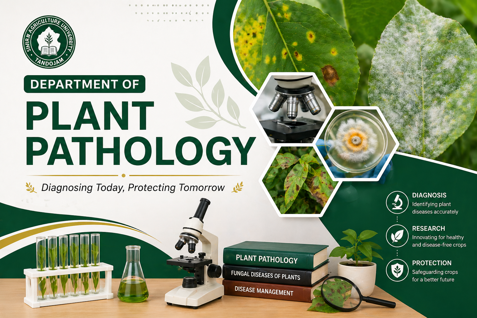 Department of Plant Pathology