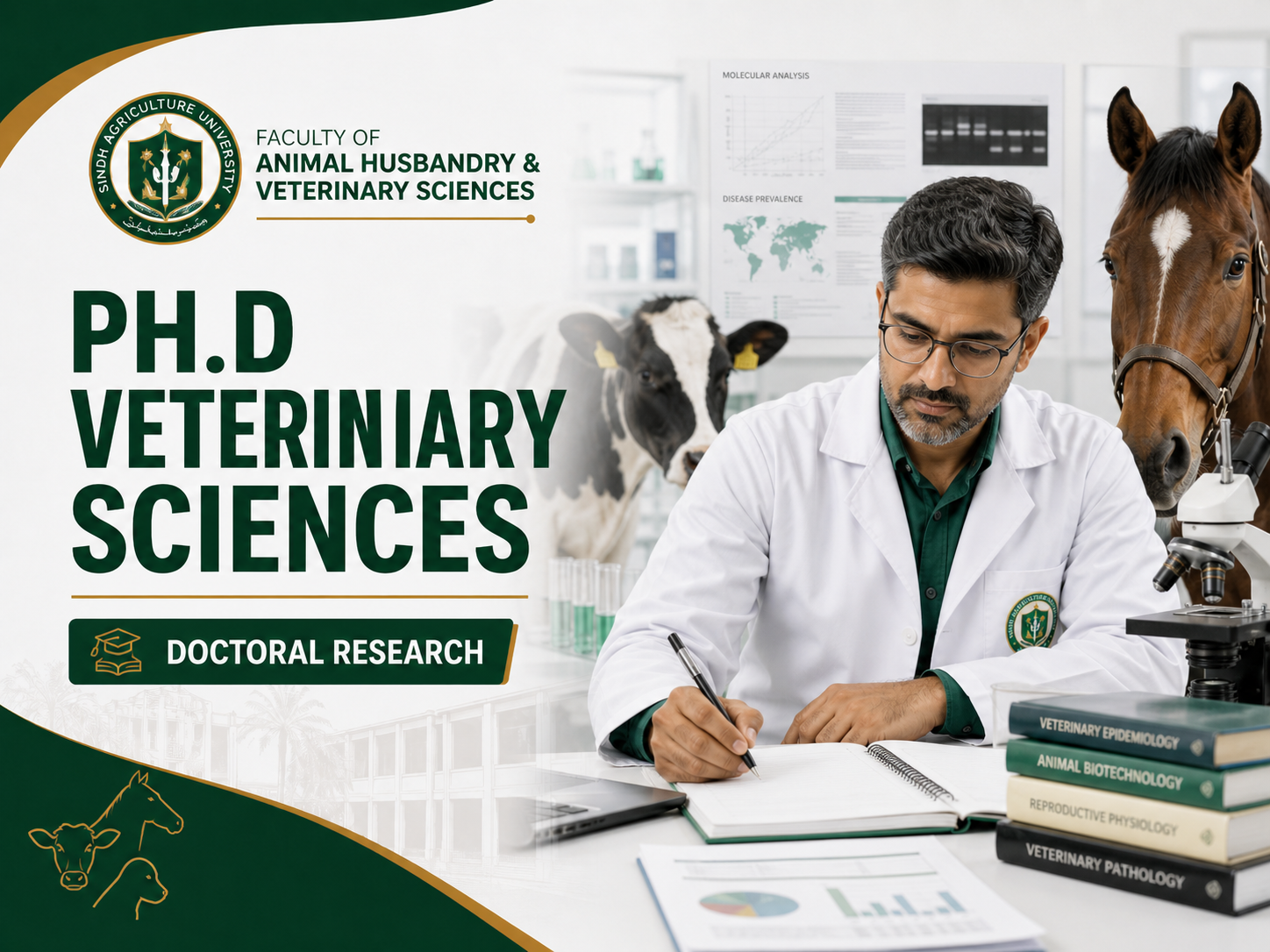 Ph.D Programs