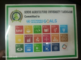 SDG Resource Center - Activity 5