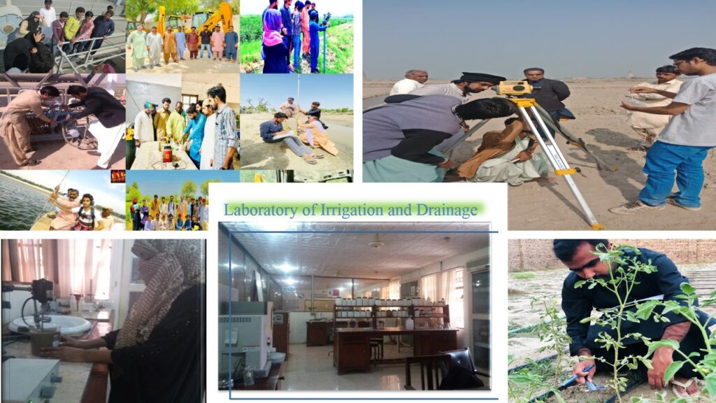 Department of Irrigation and Drainage
